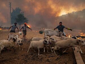 Fire eats more residential areas of southern Turkey