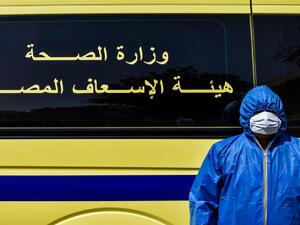 كورونا في مصر