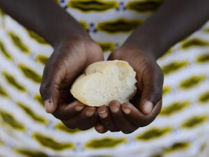 Millions are at danger of food shortages and acute hunger in Nigeria