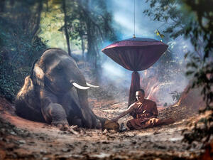 The old monk with a young elephant in the forest.