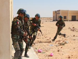 عناصر من الجيش المصري