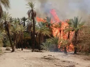 السودان 