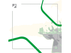 اقتصادية دبي: 5,885 رخصة جديدة في دبي خلال  شهر أغسطس 2021 