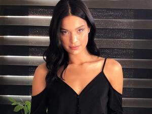 شفق بكديمير