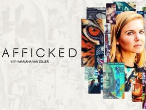 Trafficked with Mariana van Zeller has received an early renewal for season three