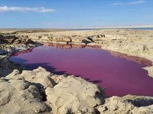 What color is the Dead Sea 