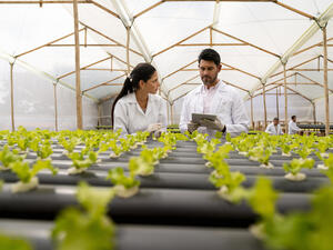 الاهتمام بالاستثمار المستدام في أعلى مستوياته على الإطلاق في دولة الإمارات