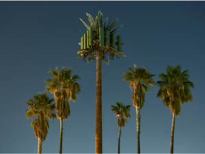 The Annual Photography Exhibition Features Works Selected From An Open Call That Received More Than 500 Submissions 