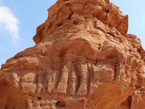 Saudi Arabia camel carvings