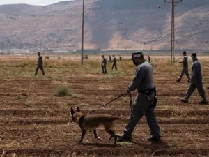البحث عن الأسرى الهاربين من سجن جلبوع
