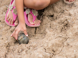 cluster bombs killed, injured more people in 2020