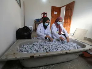 فلسطينيات يعدن تصنيع الورق
