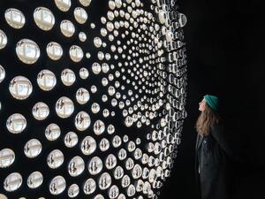 Algae window’, 2020, installed @KunsthausZuerich, 2020 (photo: Franca Candrian)