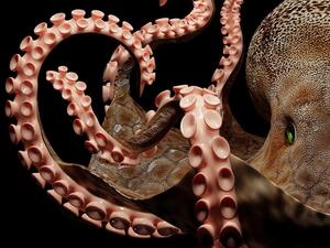 Self- portrait, I often see myself functioning like an octopus, wishing I had its superpowers 