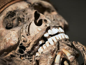 Mummified skeletons found in Iznik city