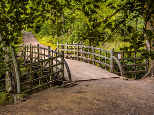 Winnie-the-Pooh bridge