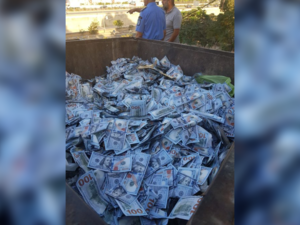 US dollars in trash bin