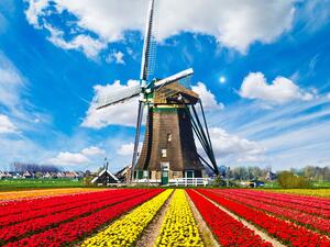 السياحة في هولندا