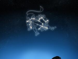 توقعات برج الأسد لعام 2022