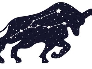 توقعات برج الثور لعام 2022