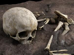 جريمة السالمية