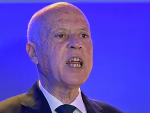 تونس في زمن قيس الفصيح
