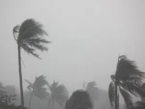 نصائح السلامة خلال وبعد الإعصار