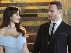 هاندا ارتشيل وكرم بورسين