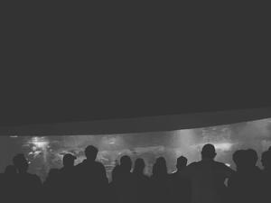 Jordan opens an exhibition of plastic art by artist Nadine Toukan