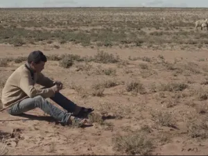 •    النحلة مايا 3: البذرة الذهبية أول عروض سينما السيارات في لوسيل هذا العام