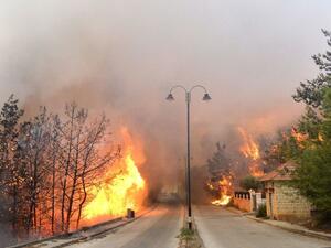 حرائق في لبنان