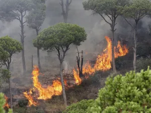 حرائق في لبنان