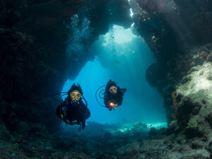 Saudi-led science team uncovers Red Sea secrets