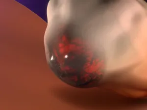 أكياس الشوكولاتة على المبيض