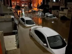 أربيل