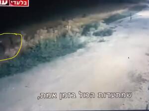 مشهد لفرار أسرى جلبوع الستة