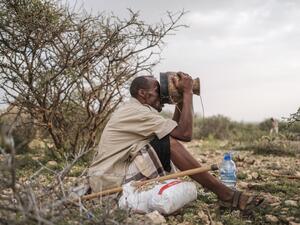 UNICEF: At Least 4.6M Somalis Are at Risk for Severe Food Insecurity