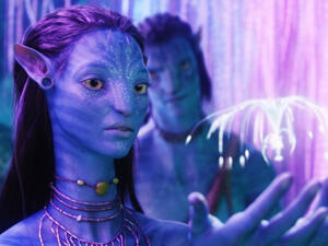 The movie is scheduled to be shown next year 