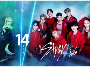 حفل فرقة ستراي كيدز الكورية