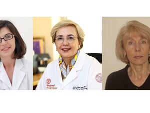 New WCM-Q Webinar Series Examines Roles of Women in Medicine