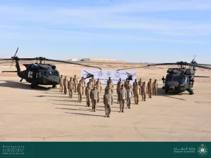 طائرات الصقر الأسود 
