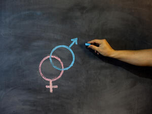 education authorities were accused of making creating a sex education curriculum