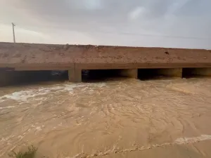 سيول في السعودية