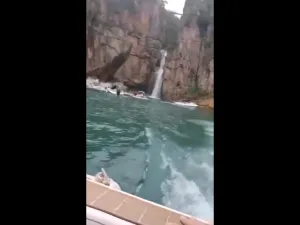 البرازيل