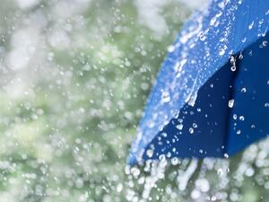 تفسير رؤية الشتاء في المنام