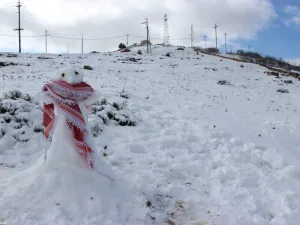 الزائر الابيض يصل الاردن