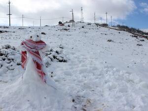 الزائر الابيض يصل الاردن