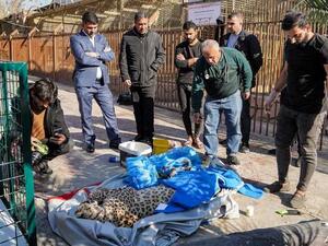 كردستان العراق