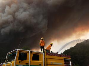 Forest fires creating large scale damage in Argentina