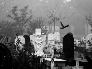 ما تفسير رؤية المقبرة في المنام ؟